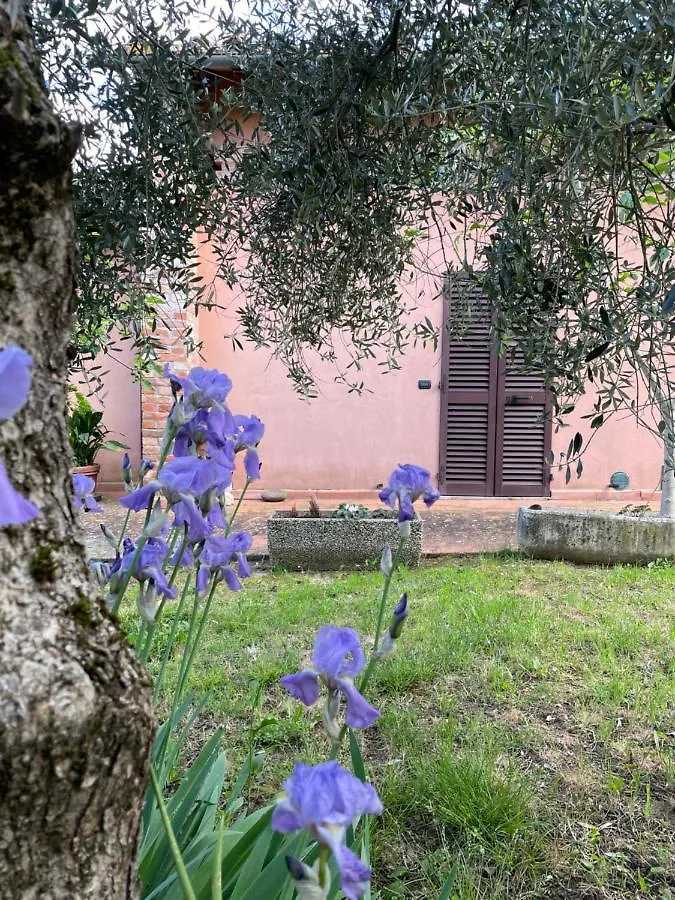 Vakantieboerderij Agriturismo La Collina Siena Italië
