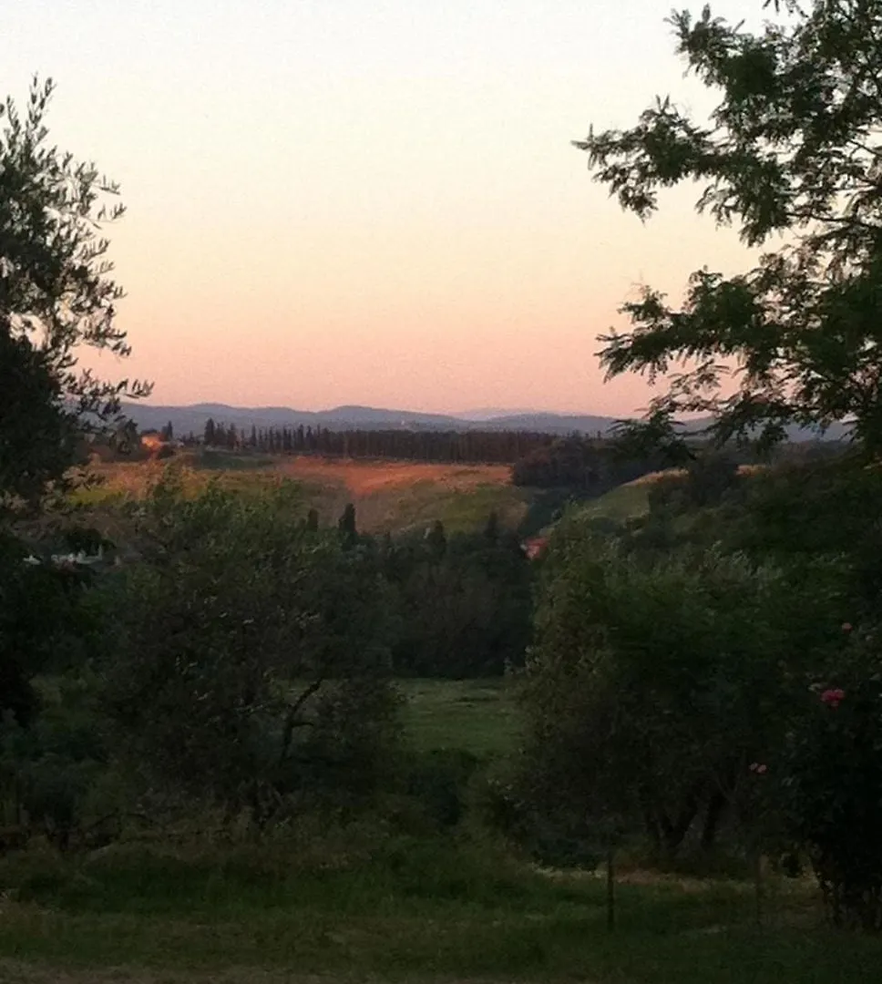 Agriturismo La Collina Siena 0*,